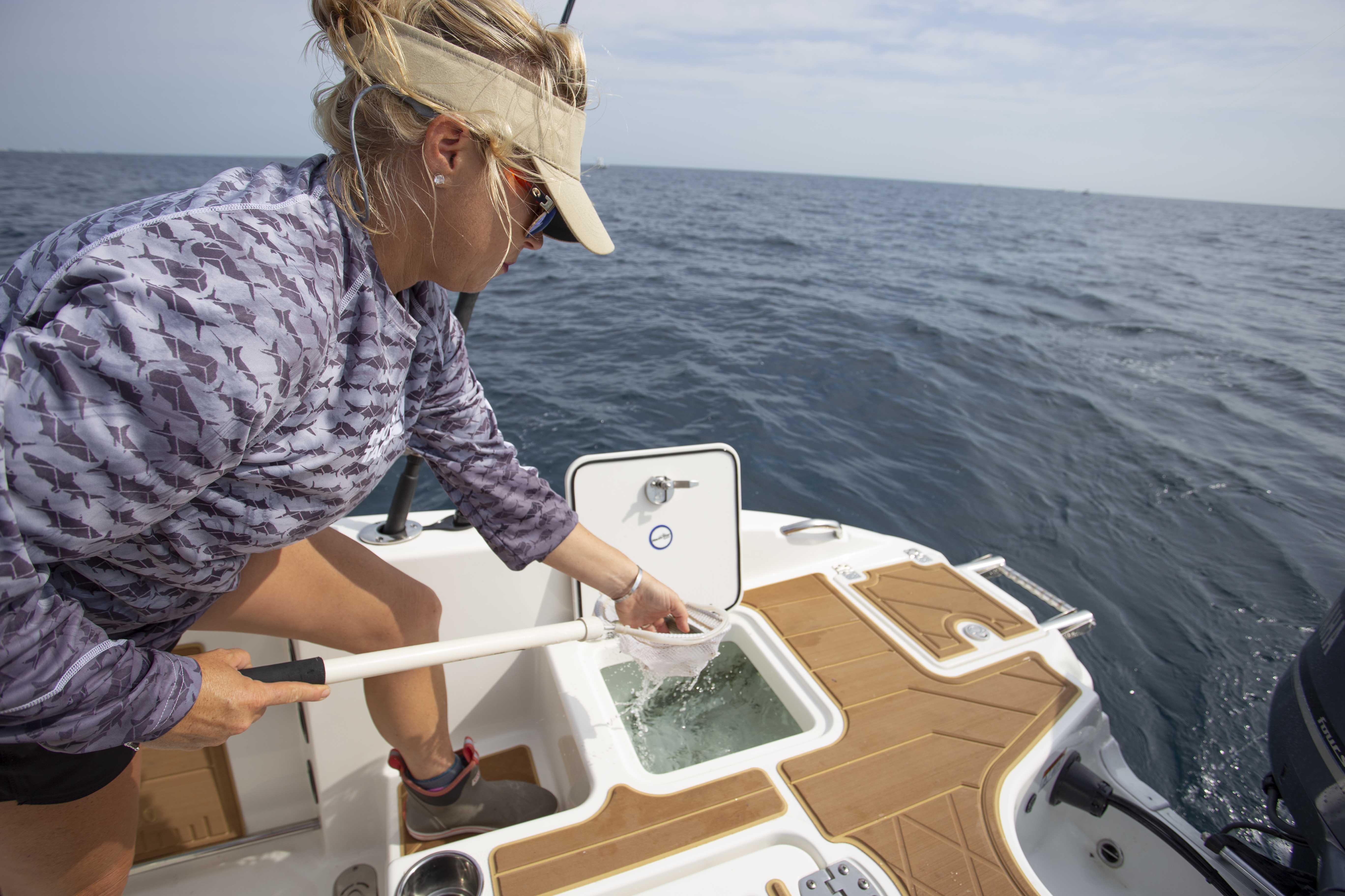 Boat Review - NauticStar 251 Hybrid