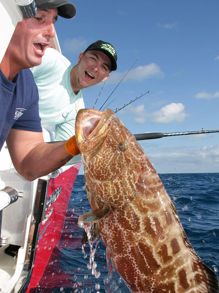 florida offshore gag grouper
