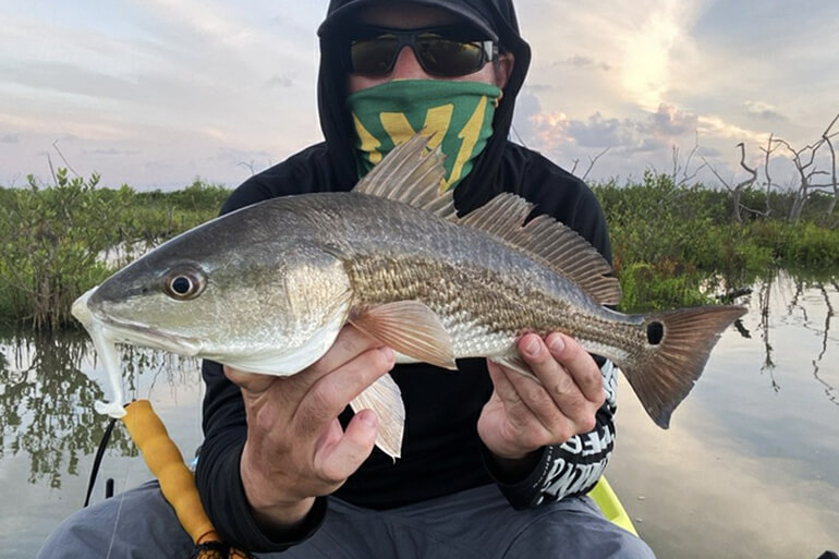 How to Choose the Right Soft Plastic Lures: Differences & Ap - Florida  Sportsman