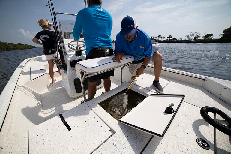 Boat Review - SeaArk Bay Runner 210