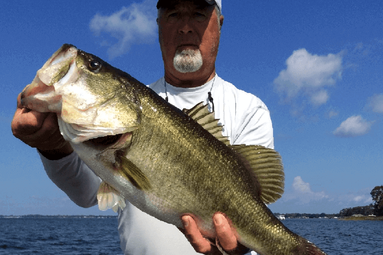 The Fine Art of the Kayak Hook Set - Florida Sportsman
