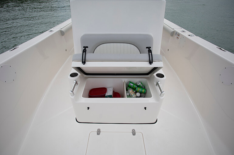 Sea Born LX26 Boat Review