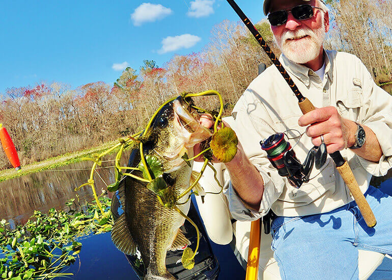 Best Ways to Hook a Live Shiner in Every Situation - Florida Sportsman
