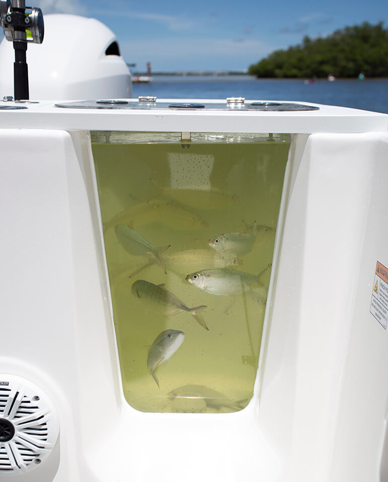 Sea Fox 268 Commander Boat Review