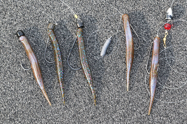 Simple Worm and Jig Variations for Big Bass - Florida Sportsman