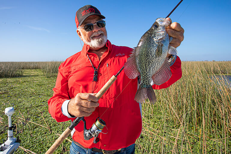 Crappie Jigs 101: Colors, When, Where & How to Use Them - Florida