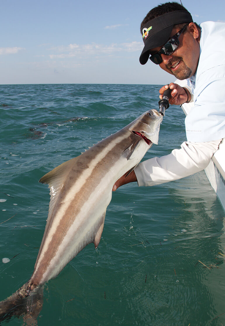 The Careful Practice of Chumming for Cobia - Florida Sportsman