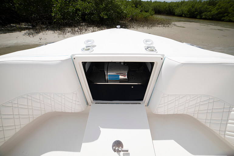 Century 2900 CC Boat Review