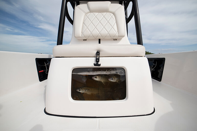 Blue Wave 2400 PureBay Boat Review