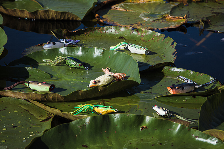 Throw Summertime Frog Lures for Big Bass