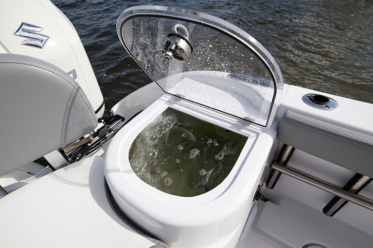 Falcon 22 Offshore Boat Review