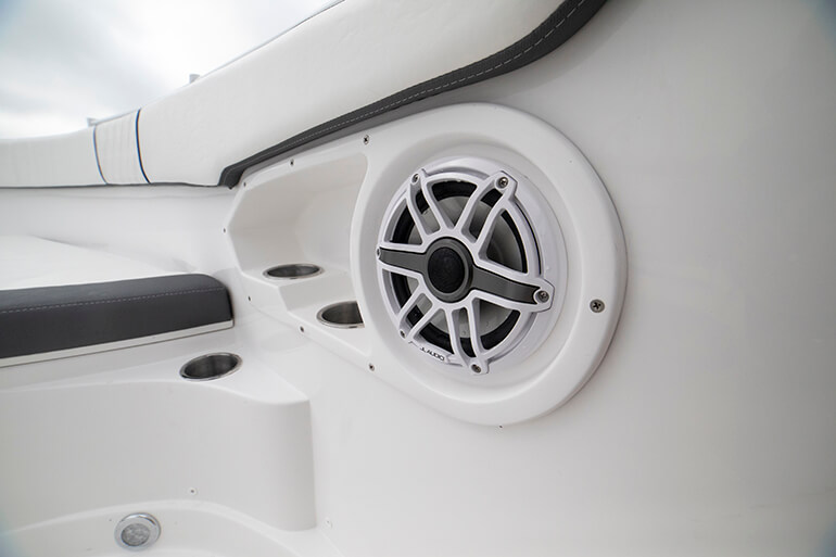 Release 295 Sport Audio System