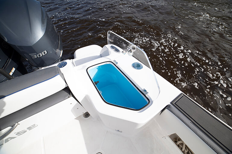 Release 295 Sport Live Wells