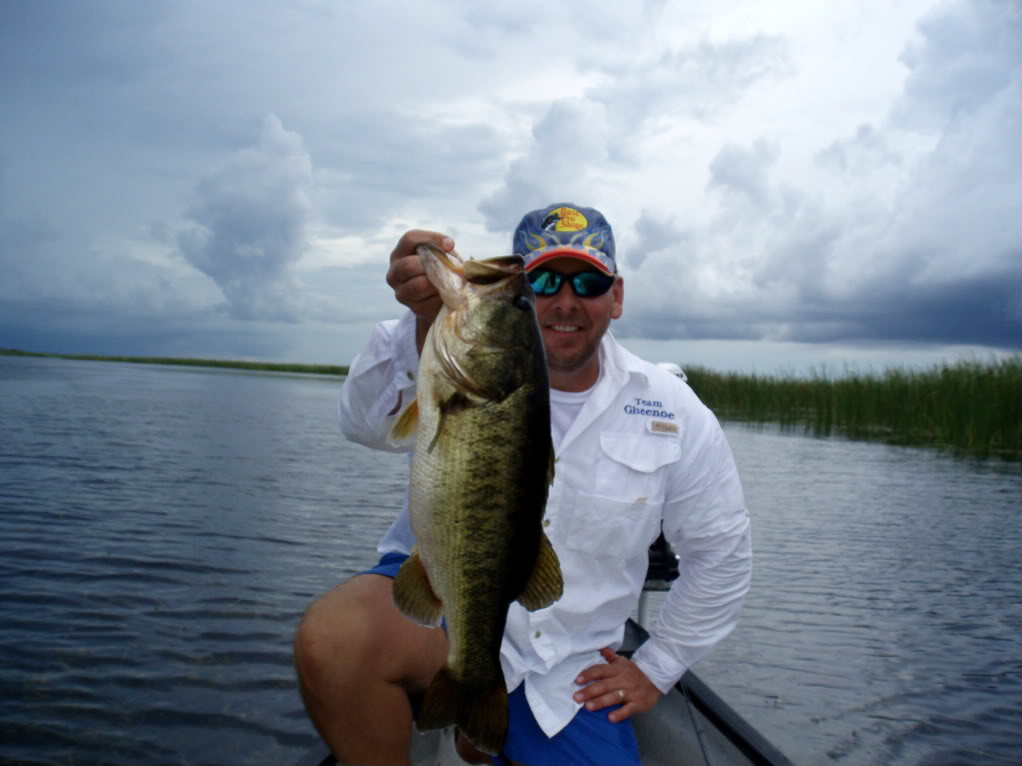 Largemouth Bass - Florida Sportsman