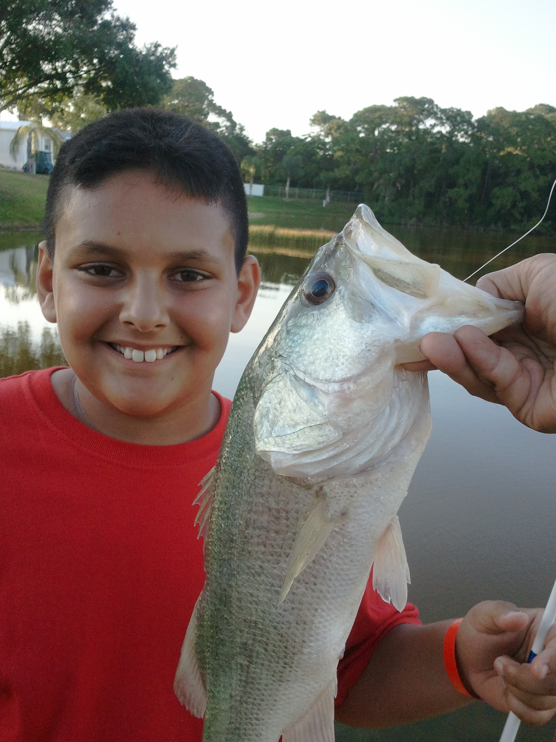 Largemouth Bass Florida Sportsman