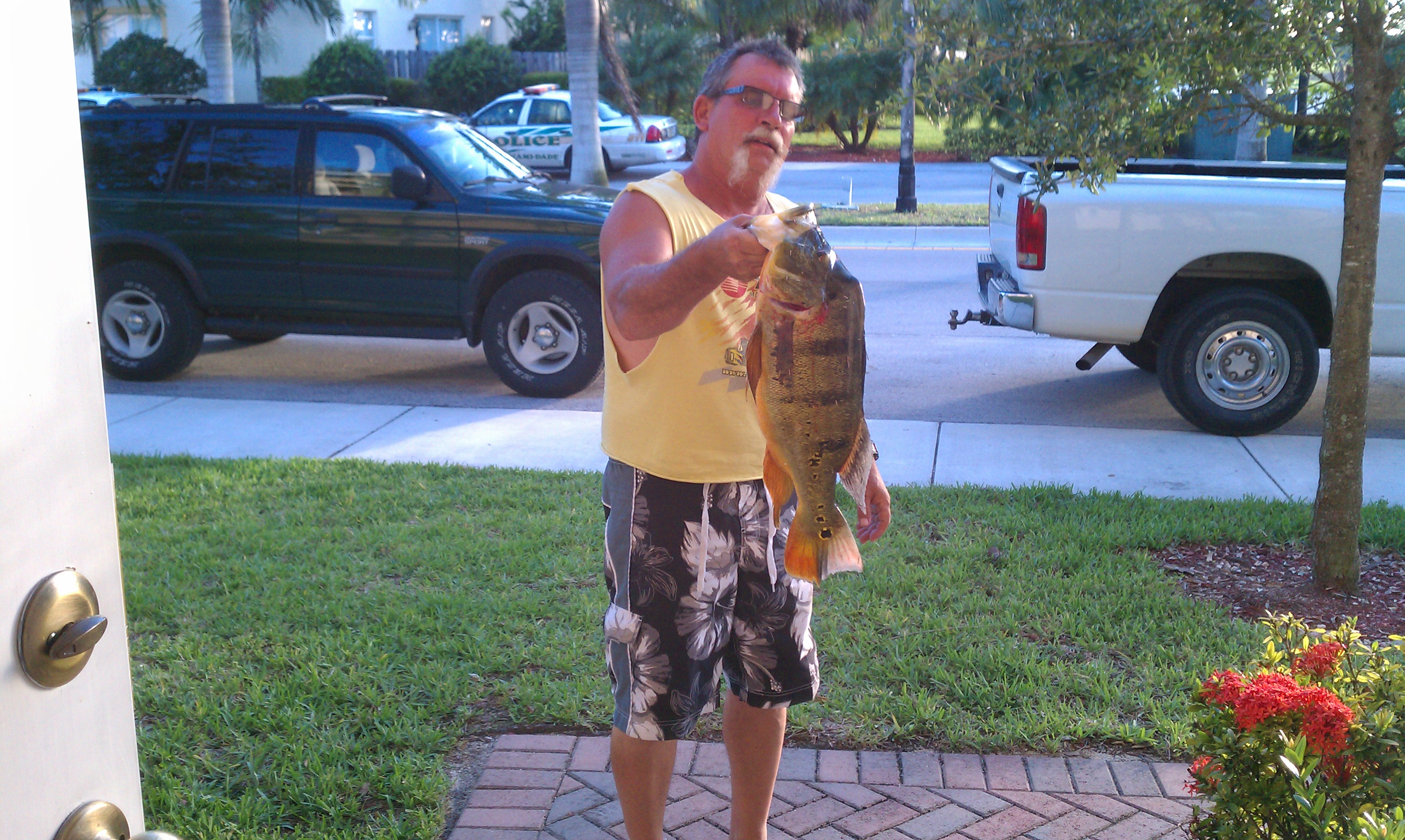 Peacock Bass - Florida Sportsman