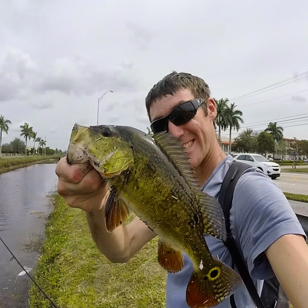 peacock-bass-florida-sportsman