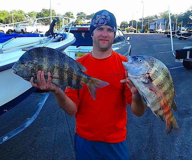 Top Secrets for the Best Sheepshead Fishing of Your Life - Florida Sportsman