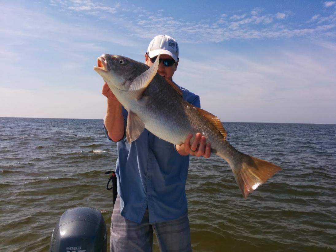 Rare Redfish Hybrid Caught in Florida