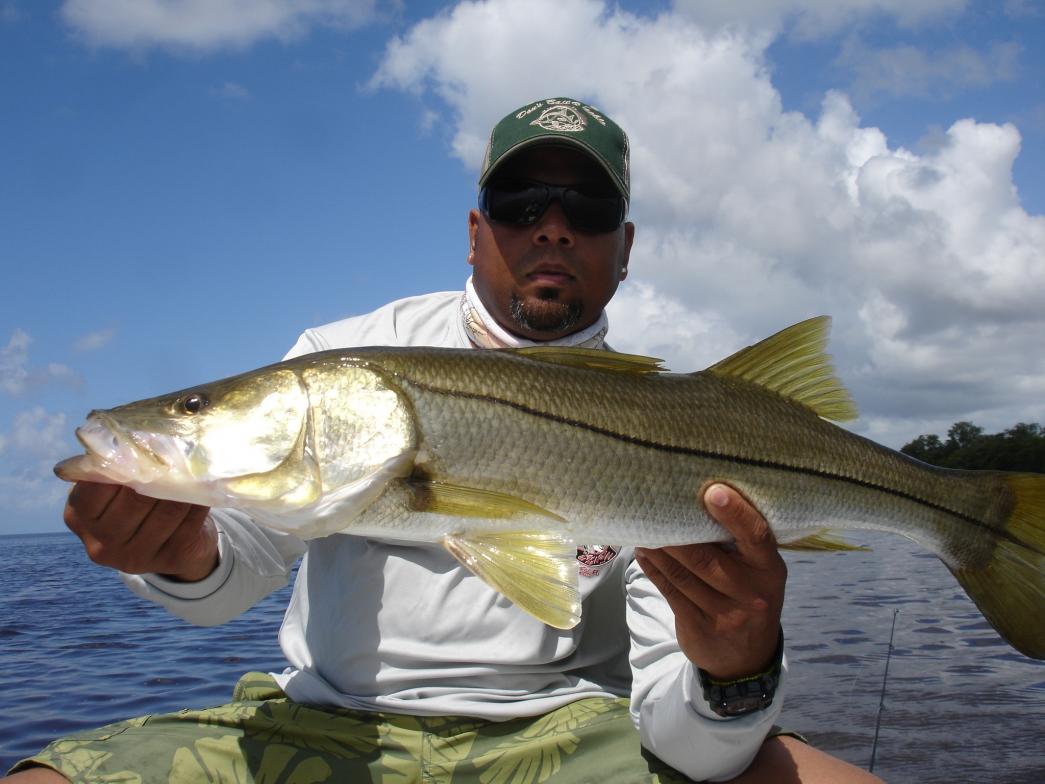 Snook Fishing with Jigs - Florida Sportsman