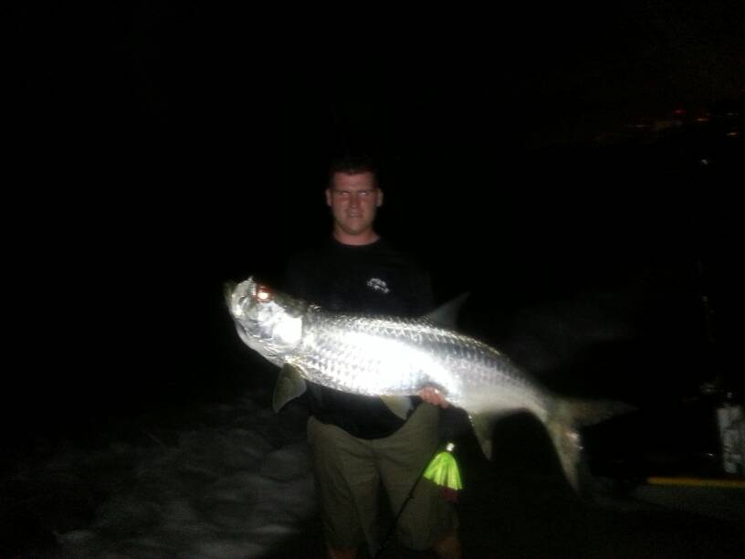 FIFR Taron Talk  TARPON TALK Tune into the