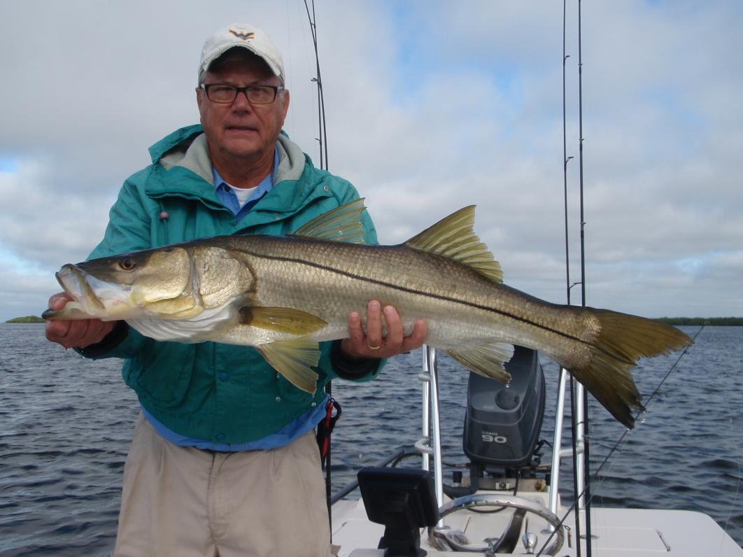 Snook are wily, crafty gamesters challenging anglers' skills and wits