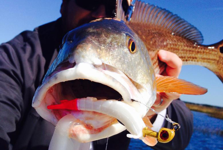 Rigging for Redfish: the Drop Shot - Florida Sportsman