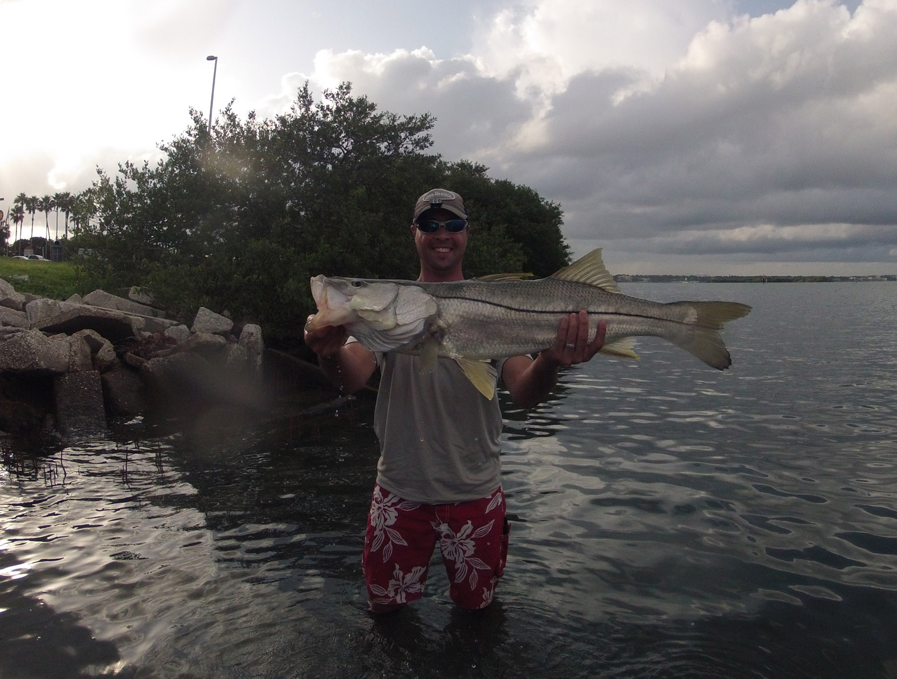 Sight Fishing for Snook in the Surf: Best Conditions, Times, - Florida  Sportsman