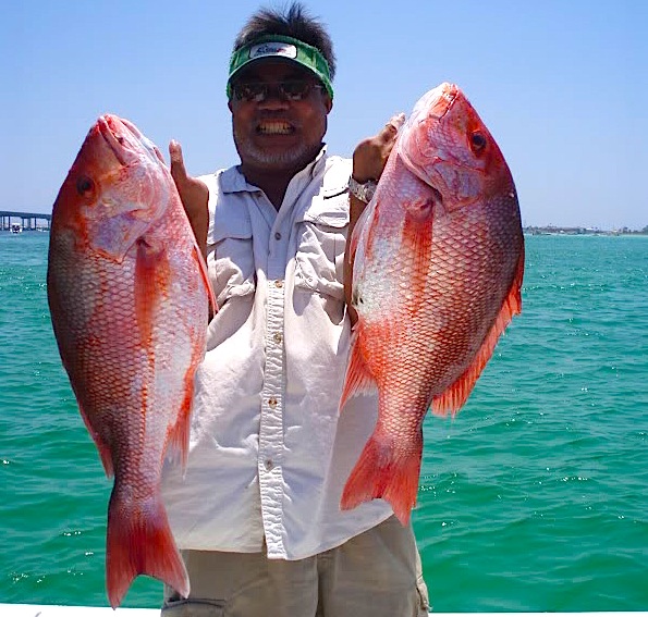 Red Snappers