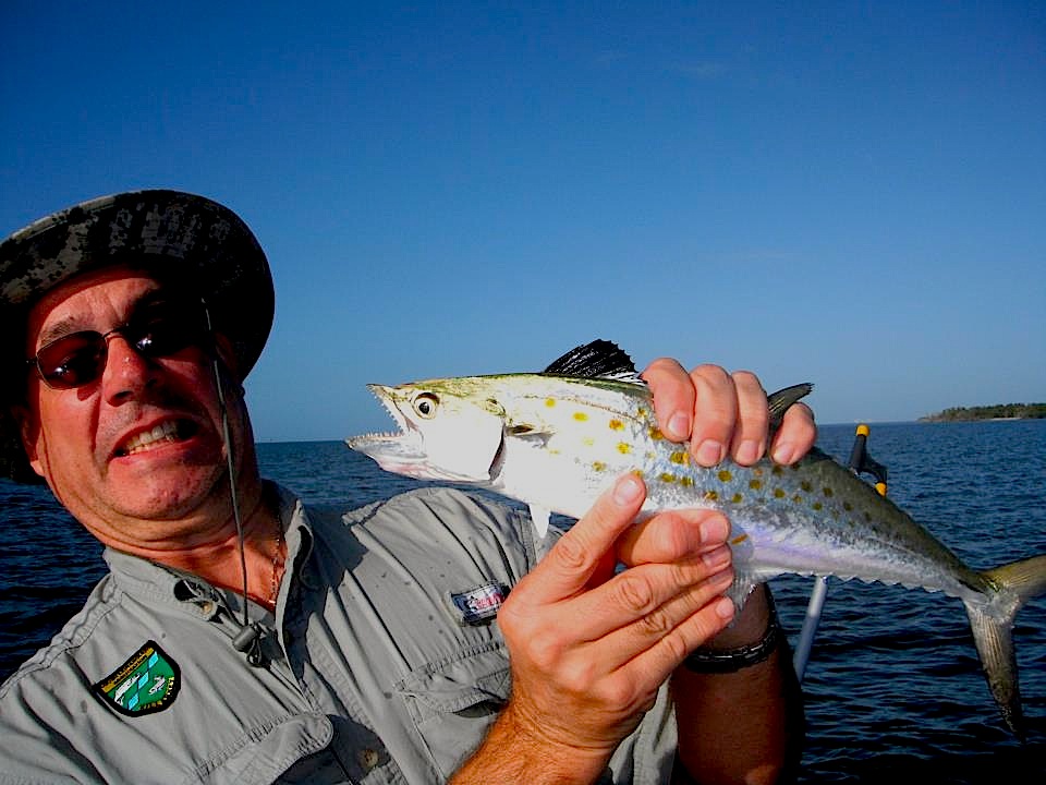 Spanish Mackerel Florida Sportsman