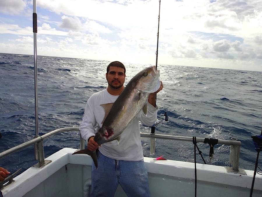 Greater Amberjack Florida Sportsman