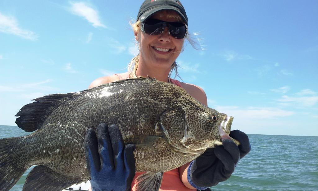 Tripletail - Florida Sportsman