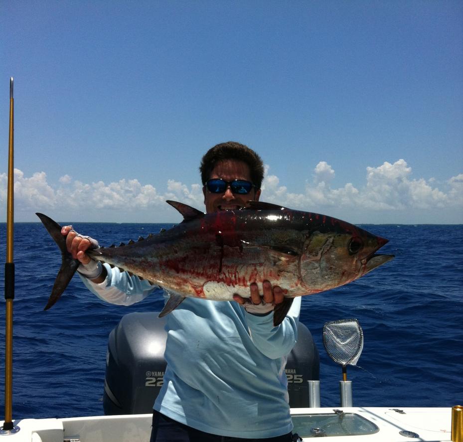 Targeting Blackfin Tuna on Fly - Florida Sportsman