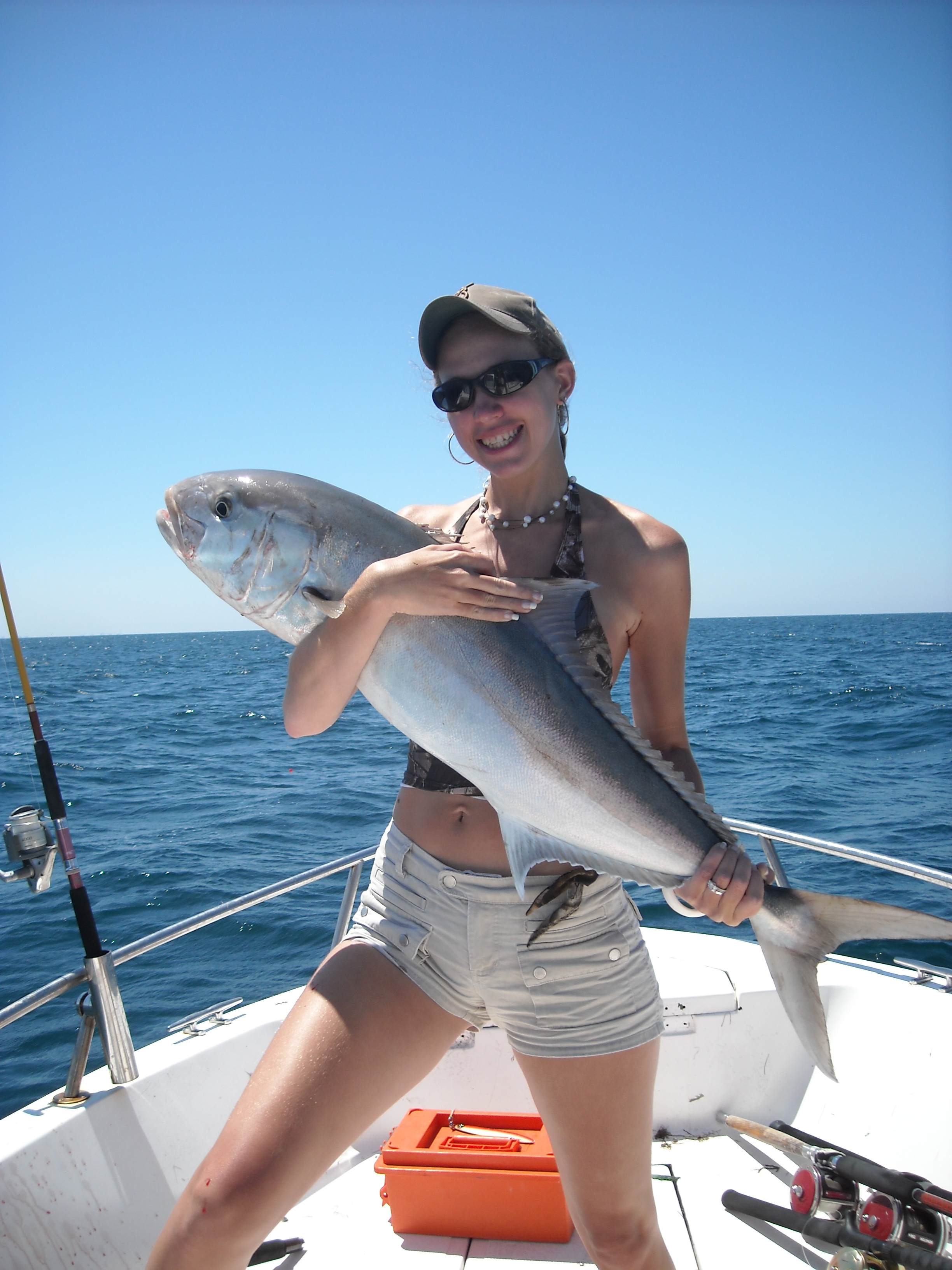 Greater Amberjack Florida Sportsman