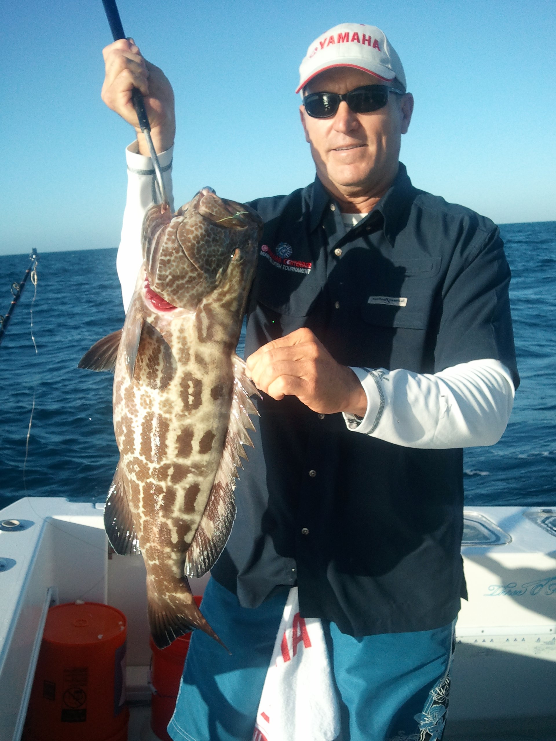 Black Grouper - Florida Sportsman