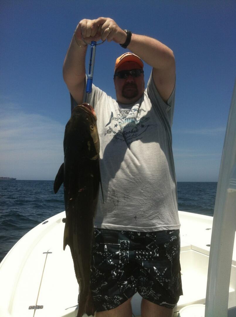 Florida Sportsman Praises Sharkbanz For Potential to Help Cobia