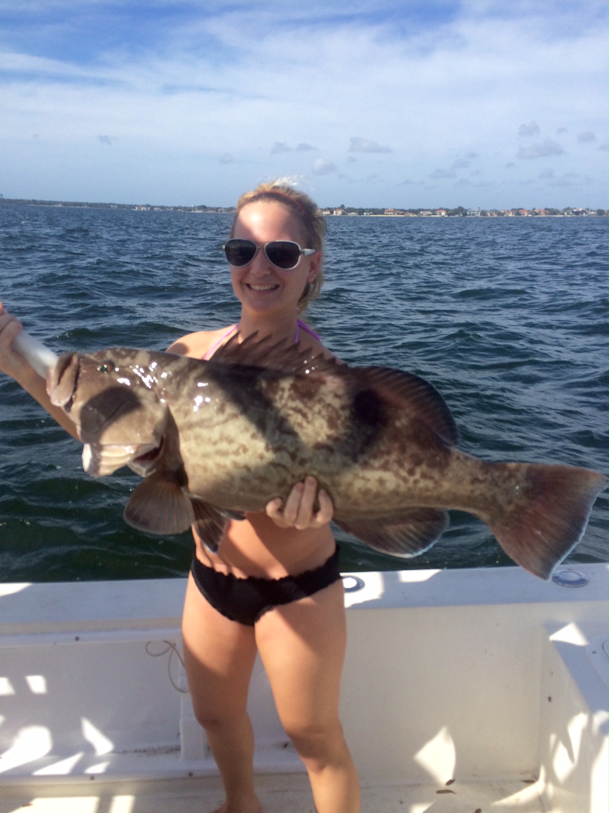 Gag Grouper - Florida Sportsman