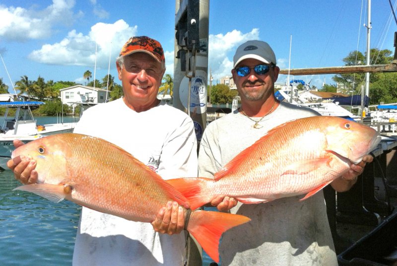 Final Rule to Implement Mutton Snapper Regulations in South - Florida  Sportsman