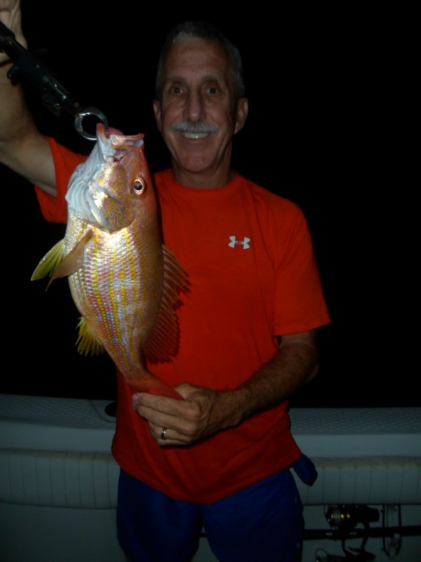 Lane Snapper - Florida Sportsman