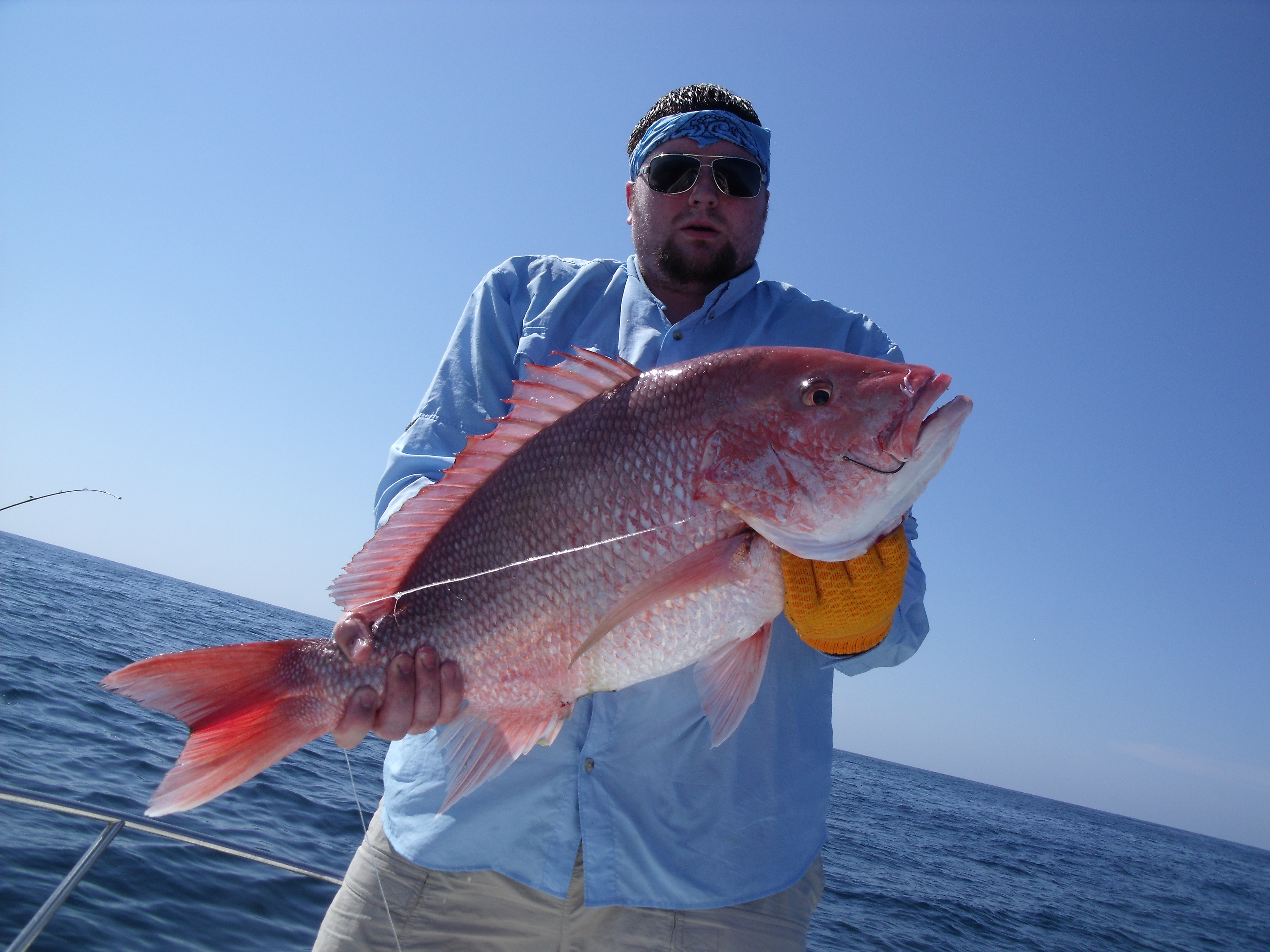 Red Snappers: How To Wrangle These Beasts - Gulf Breeze Fishing